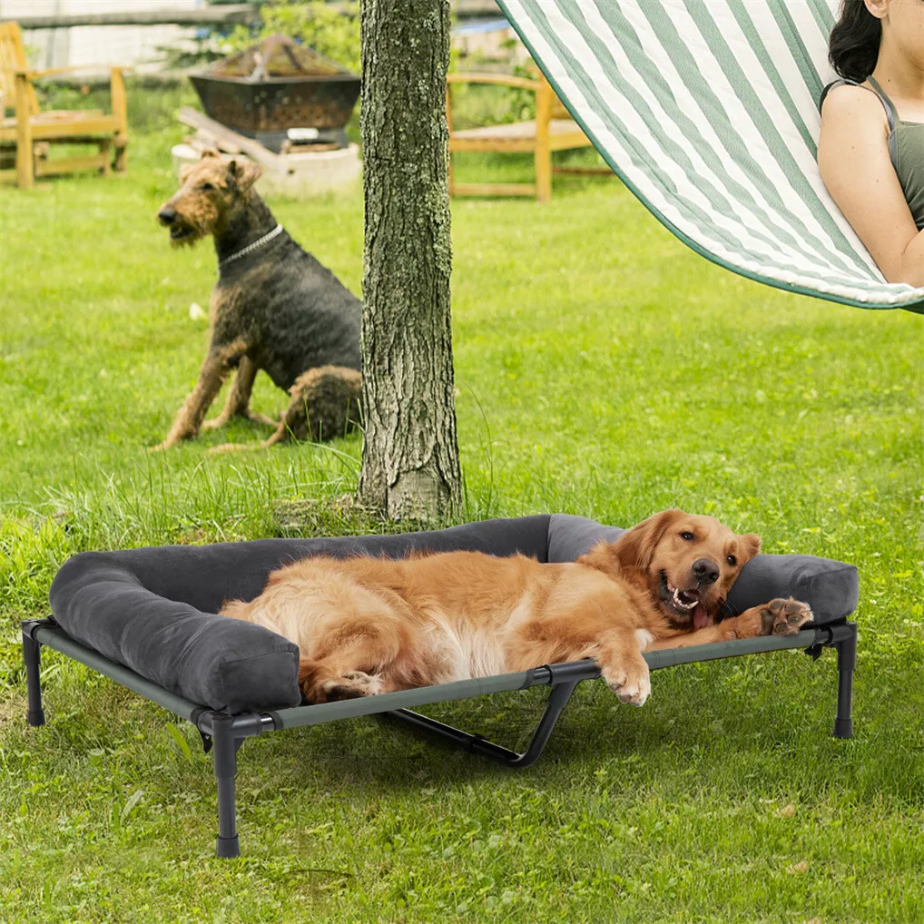 빙고파우 야외용 강아지 침대, 높이 조절 가능한 쿨링  - Outdoor Camping Cot 리뷰 및 가격